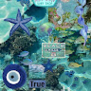 Meet your Posher, Talia